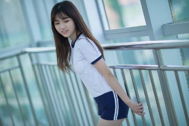 新澳2025精准正版免費資料全面释义、解释与落实-警惕虚假宣传-全面释义、解释与落实_: 政治舞台上的变幻，谁将主宰未来？